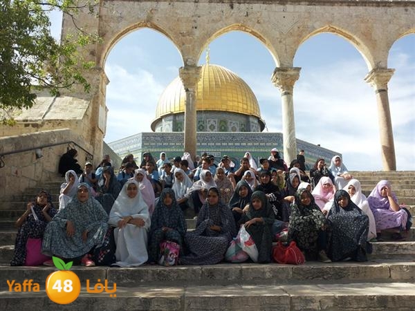 rashidiyasy 0531 (13).jpg